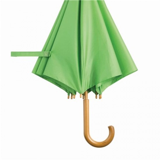 Semi-automatic Umbrella, Light Green