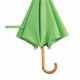 Semi-automatic Umbrella, Light Green